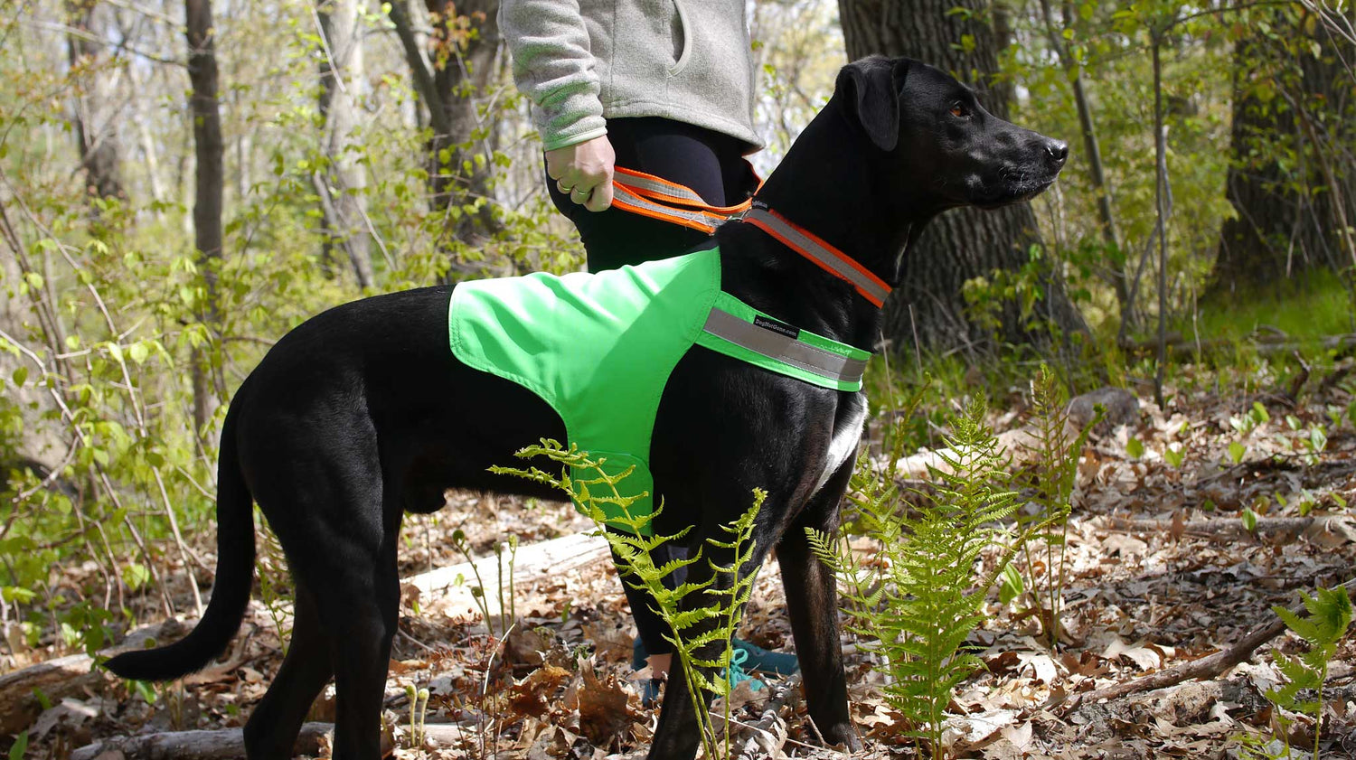 Shop Maine Pet Products & Dog Vests