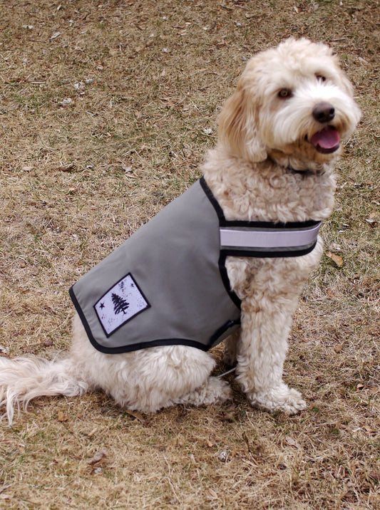 Light tan colored dog with shaggy fur wearing a gray-olive green tick-repelling dog vest with 3M reflective visibility tape. Dog vest made in Maine by Dog Not Gone.