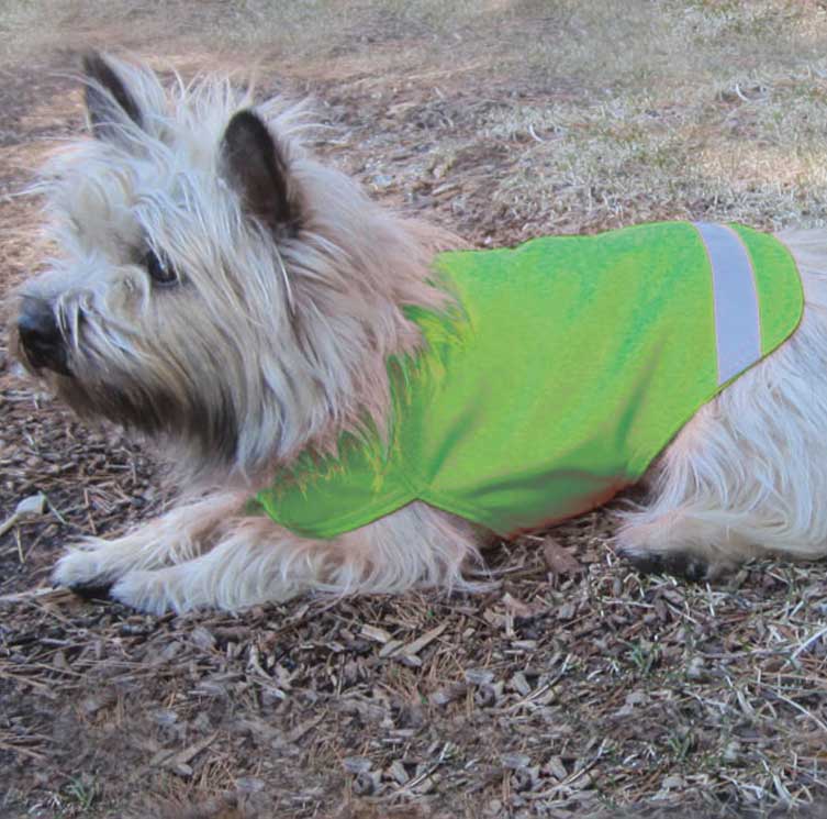 small dog with shaggy light fur is wearing a tick-repelling, lightweight, neon lime green safety dog vest.