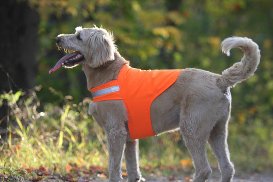 Tick Repelling Safety Dog Vest Blaze Orange